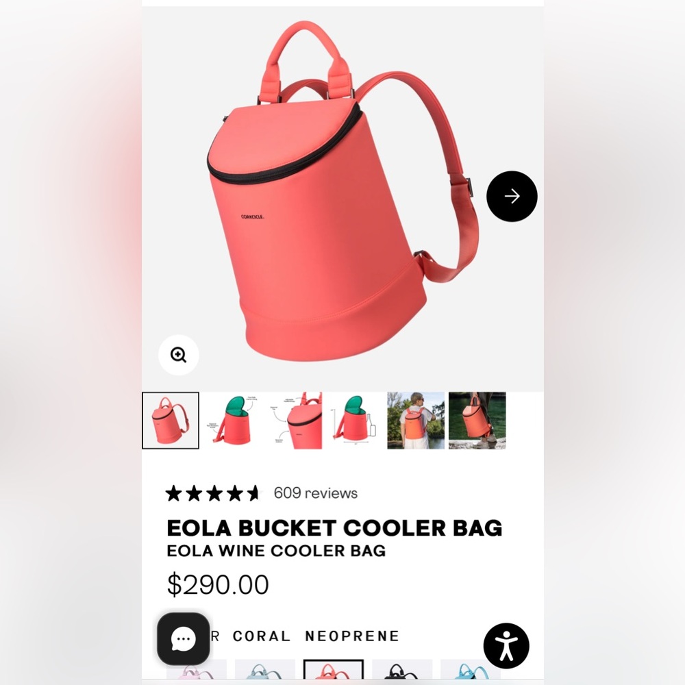BNWT Corkcicle insulated Backpack